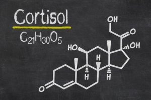 Cortisol-formula-quimica-300×199